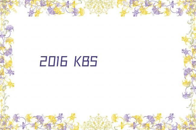 2016 KBS 연기대상剧照